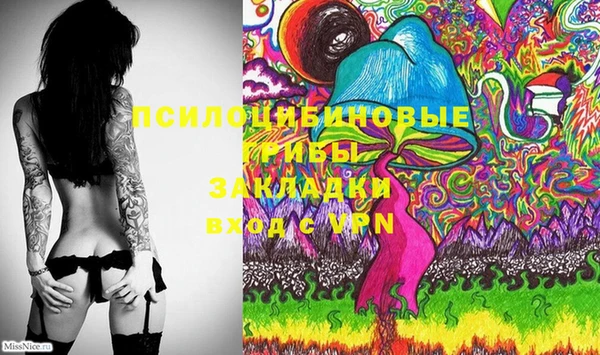 ешки Протвино