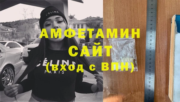 ПСИЛОЦИБИНОВЫЕ ГРИБЫ Абаза