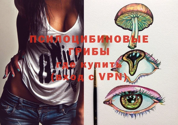 ПСИЛОЦИБИНОВЫЕ ГРИБЫ Абаза